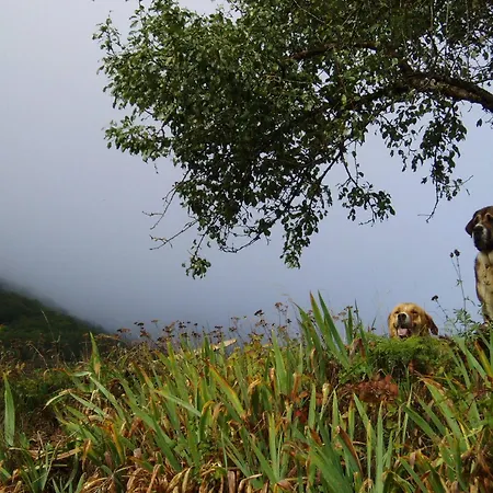 Hétvégi ház Entre Babia Y La Luna *