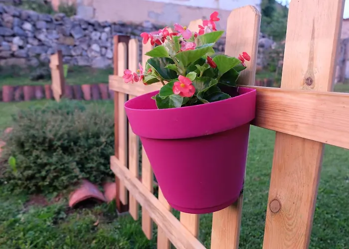 Gospodarstwo wiejskie Entre Babia Y La Luna *